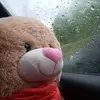 Teddy Bernard - @teddybernard1 - TikTok