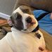 Ted Bishop - Facebook