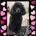 Teddy Bishop - Facebook