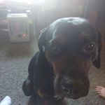 Teddy Bishop - @teddy.bishop.712 - Instagram