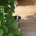 Teddy Bishop - Facebook