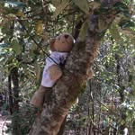 Teddy - @teddy.bishop1 - Instagram