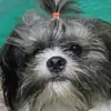 teddy blaise - @2173232196 - TikTok