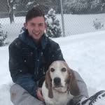 Teddy Bond - @teddybond - Instagram
