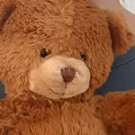 Whisky - @teddybondagentsecret - Instagram