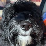 Henry Teddy Booth - @mr.henry_colorado - Instagram