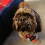 Teddy_bear_booth - @teddy_bear_b00th - Instagram