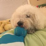 Teddy Booth - @teddy.booth - Instagram