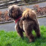 Teddy booth - @teddy_bear_booth - Instagram