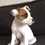 Teddy Booth - @teddy_booth_ - Instagram