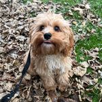 Teddy - @teddy.booth2021 - Instagram