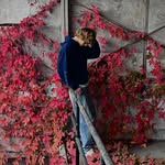 Teddy Borgert - @teddyborgert - Instagram