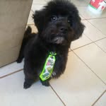 Teddy Borges - @borgesteddy - Instagram
