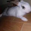 Mayee Obli - @teddy.de.borja - TikTok