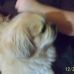 Teddy Boyd - Facebook