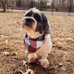 Teddy Brady - @teddybearbrady - Instagram