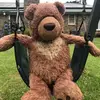 Brandon The Teddy Bear 🧸 - @brandon_teddybear - TikTok