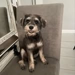 Teddy - @teddy.bray - Instagram