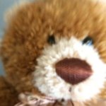 Brewbear - @teddybearbrewer - Instagram