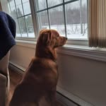 Teddy Brewer - @brewer.teddy - Instagram