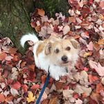 Teddy Brewer - @tchbrewer - Instagram