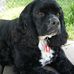 Teddy Britton - Facebook