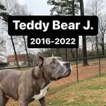 Teddy J. - @teddybrockaton - Instagram