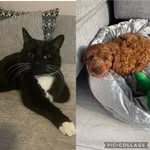 Bruce+Teddy - @_bruce_teddy_ - Instagram