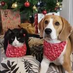 Teddy & Bruce - @teddyandbruce - Instagram