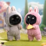 Teddy & Bruce Wayne - @teddybruce_blackcat - Instagram