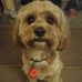 Teddy Bruce - Facebook