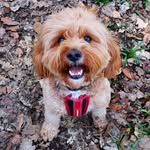 Teddy Bruce - @tedster_bruce - Instagram