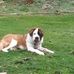 Teddy Bruce - Facebook