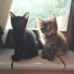 Teddy&Bruce FanClub - @teddybrucefanclub - Instagram