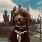 EdB - @teddybryantdiaz - Instagram