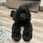 Teddy-Bear Bryant - @therealteddybearbryant - Instagram