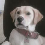 teddy burch - @teddyburch - Instagram