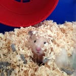 Teddy_Burns - @teddy_burns1 - Instagram