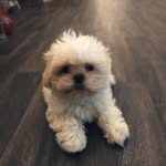 Teddy Burns - @teddyburnss - Instagram