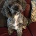 Teddy Burns - Facebook