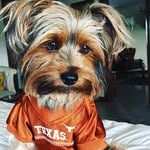Teddy Burns - @taytexasteddy - Instagram