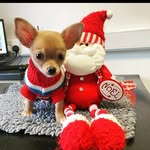 Teddy - @teddy_burns321 - Instagram