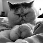 Wonderful World of Teddy - @teddyburns09 - Instagram