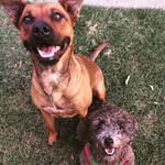 Cali, Teddy, Burt And Smith - @teddy.cali_burt.smith - Instagram