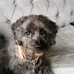 Teddy Bear - @teddy_bear_burt - Instagram