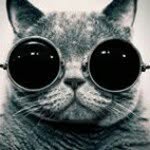 Teddy Burtonburger - @teddy_burtonburger - Instagram