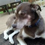 Teddy Bush - @teddylikessticks - Instagram
