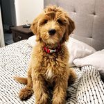 Theodore "Teddy" Byrd - @the.dood.teddy - Instagram