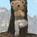 Meddy Teddy Canada - Facebook