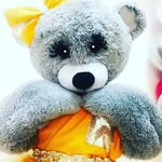 Teddy Bear - @teddybearcanada - Instagram